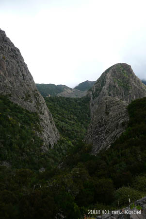 P1010113