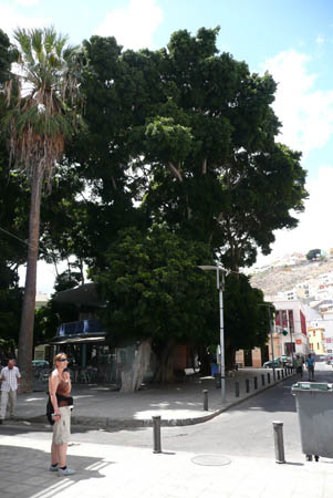 P1010134