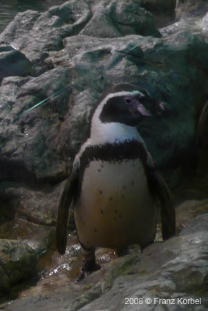 P1010239
