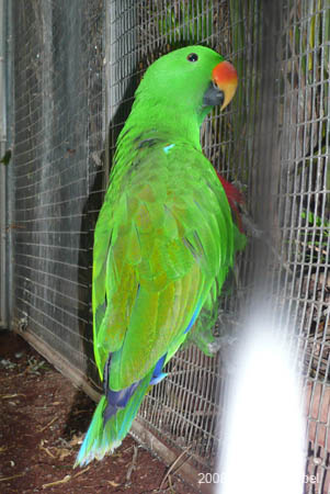P1010243