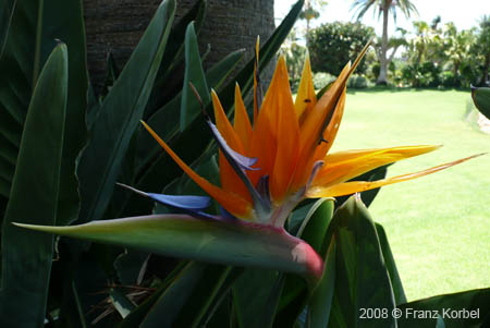 P1010324