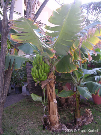 DSCN2005