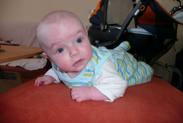 Florian ist 20 Wochen alt