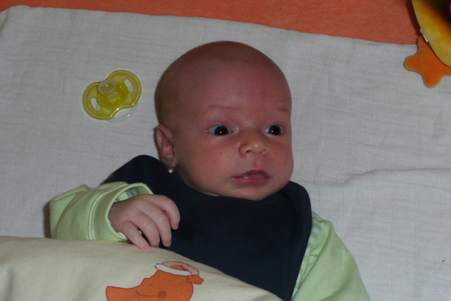 Florian 22 Tage alt, frisch gebadet, gefüttert und bereit zum Schlafen