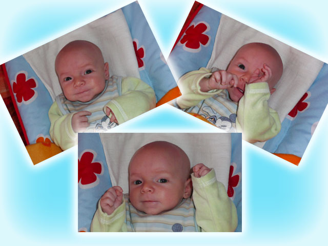 Florian 6 Wochen alt