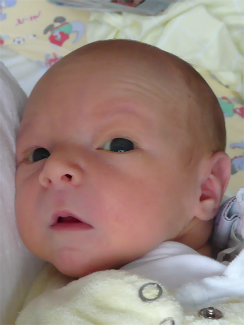 Florian fünfter Tag